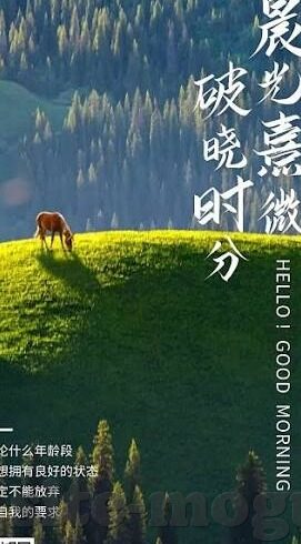 91精品麻豆k色-揪心地发展，网络上涉黄内容的真实观察与思考