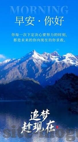 波多野结衣中文字幕在线-波多野结衣，中文字幕下的影像艺术探索