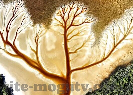 成人糖心vlog污-揭秘成人世界的小角落，成人糖心VLOG的深入了解