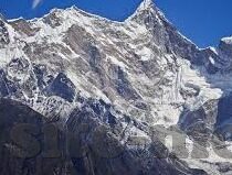 dxdz大象回家视频-跨越千山万水，Dxdz大象回家视频的温暖启示