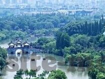 跟糖心直播差不多的app-探秘视频应用的多元化之路，寻找与糖心直播相似的平台