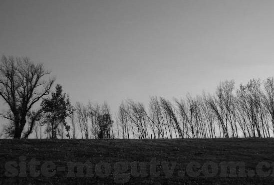 和糖心vlog差不多的APP-解析和糖心vlog相似的视频应用