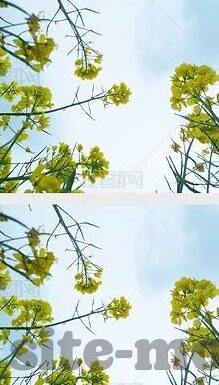 麻豆91精品96久久久-聊聊美丽背后的故事——网络时代的女性风貌探索