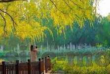 欧美日韩人妻精品一区二区三区-欧美日韩人妻文化，多元视角下的情感与审美探索