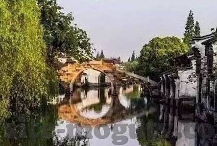 现在视频手机成人-现代生活，视频手机与成人世界的无缝连接